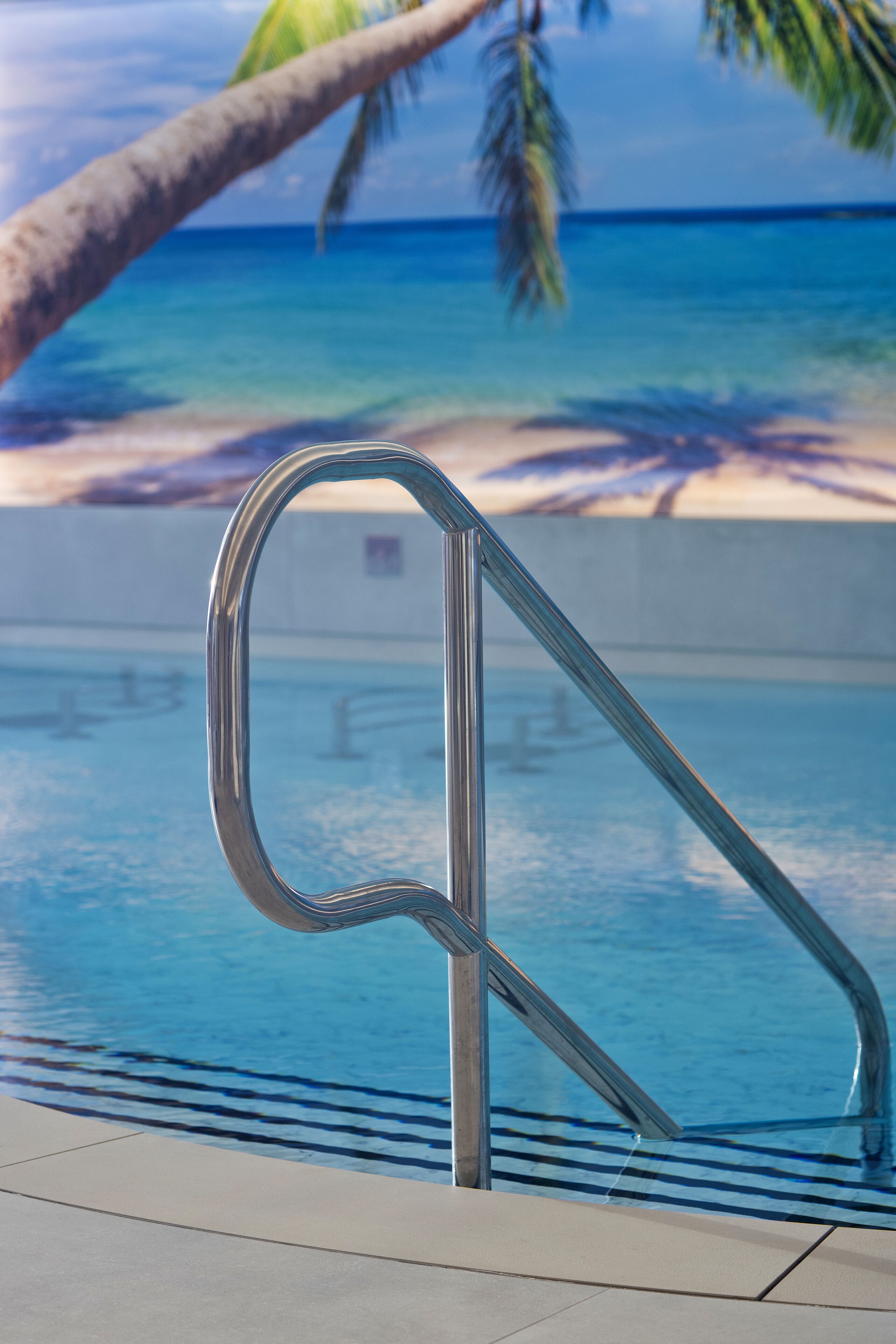 Una piscina con barandilla de metal, agua azul cristalina y una palmera al fondo.