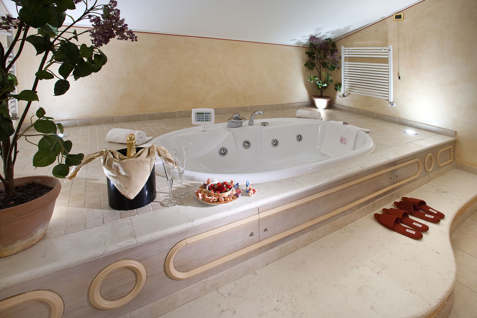 free toiletries, hair dryer, slippers, bidet