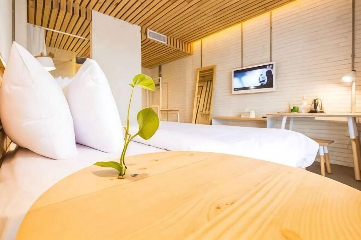 A hotel room with a bed, a desk, a television, and a plant.
