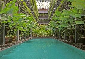 Piscine extérieure, chaises longues
