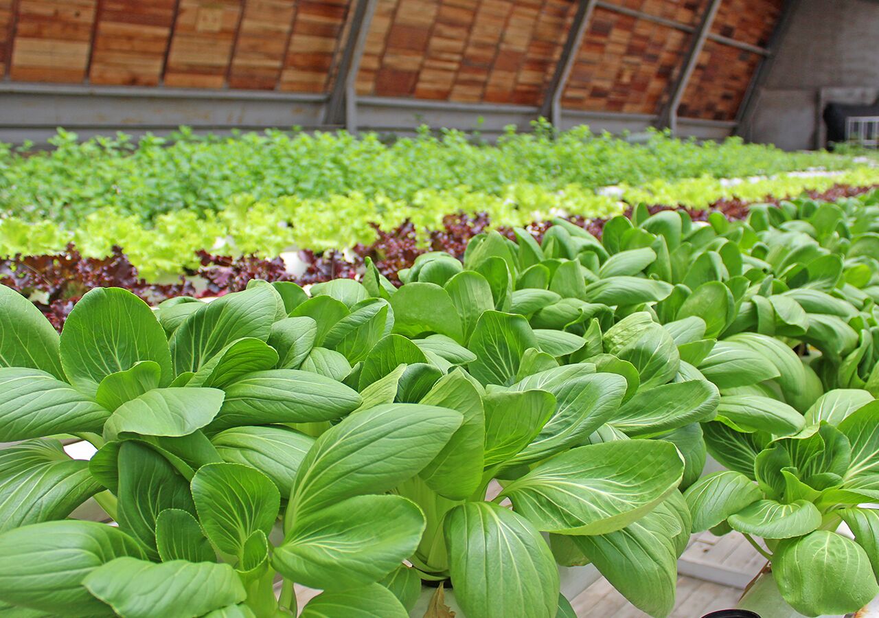 Photo - Greenhost Boutique Hotel Prawirotaman