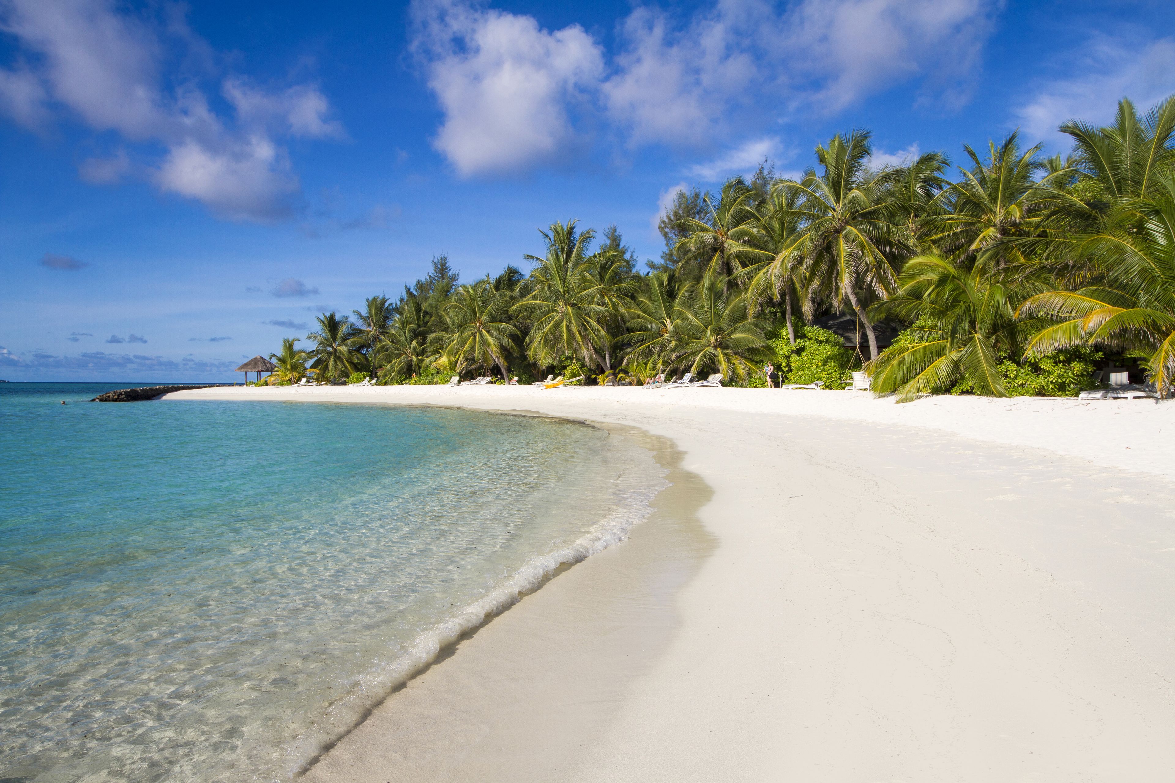 A beach with clear turquoise water, white sand, and palm trees.