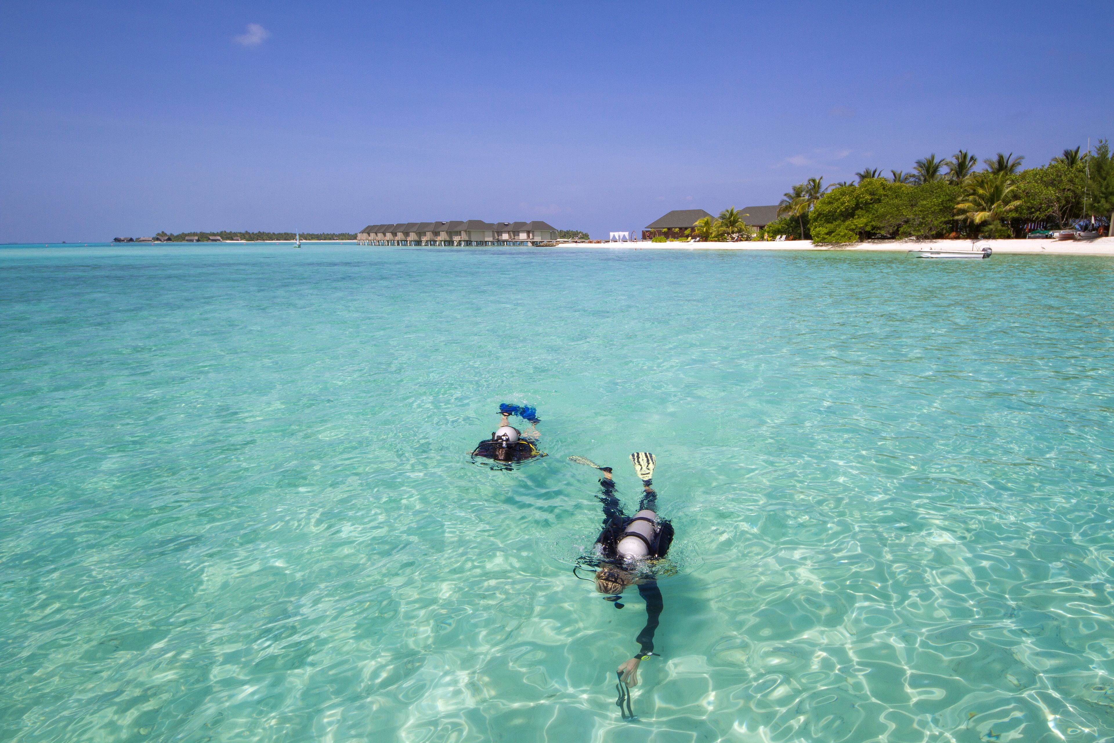 Dos personas haciendo snorkel en aguas turquesas cristalinas, con bungalows sobre el agua y palmeras al fondo.