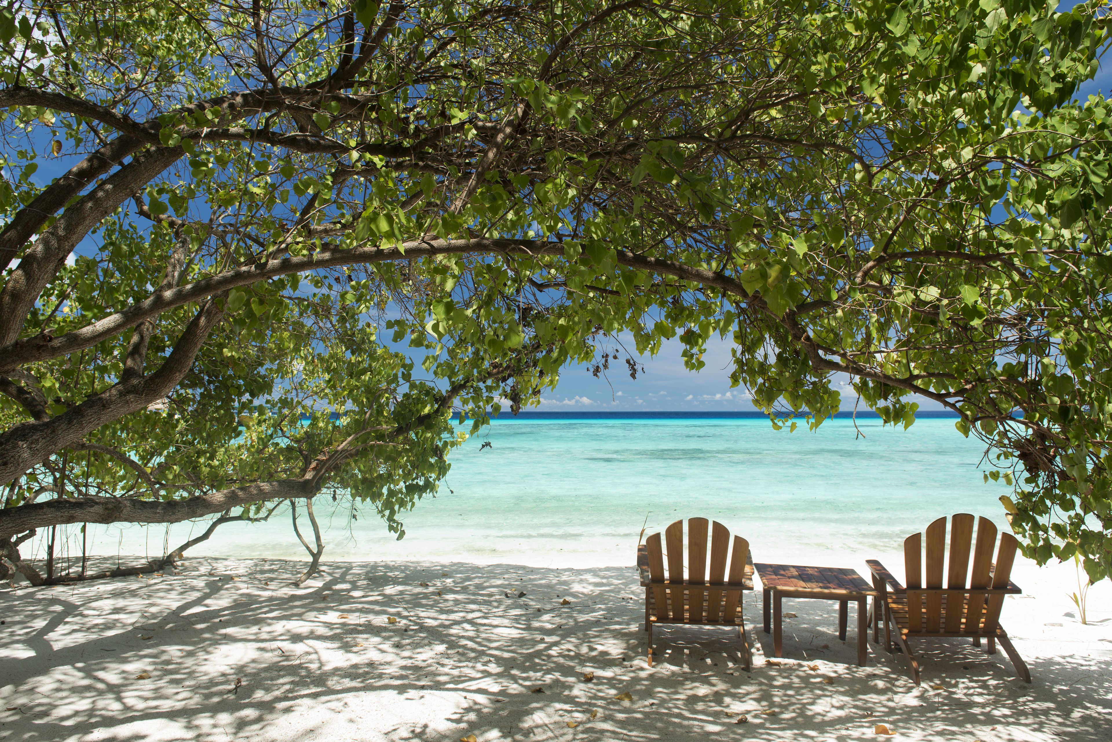 superior double room, beachfront | beach | white sand, beach towels, windsurfing, surfing