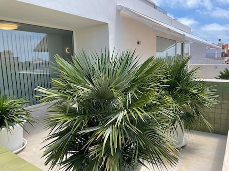 Exterior. Teide Rooms