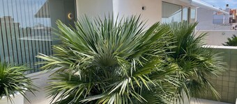 テイデ ルームズ