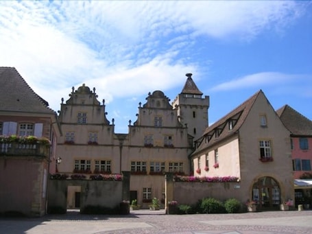 Vue depuis l’hébergement. Domaine de Rouffach