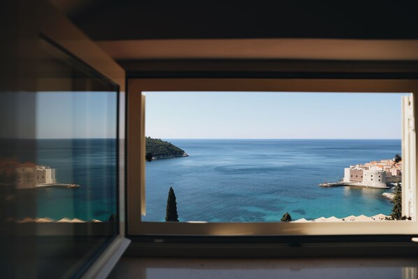 Vista desde la propiedad