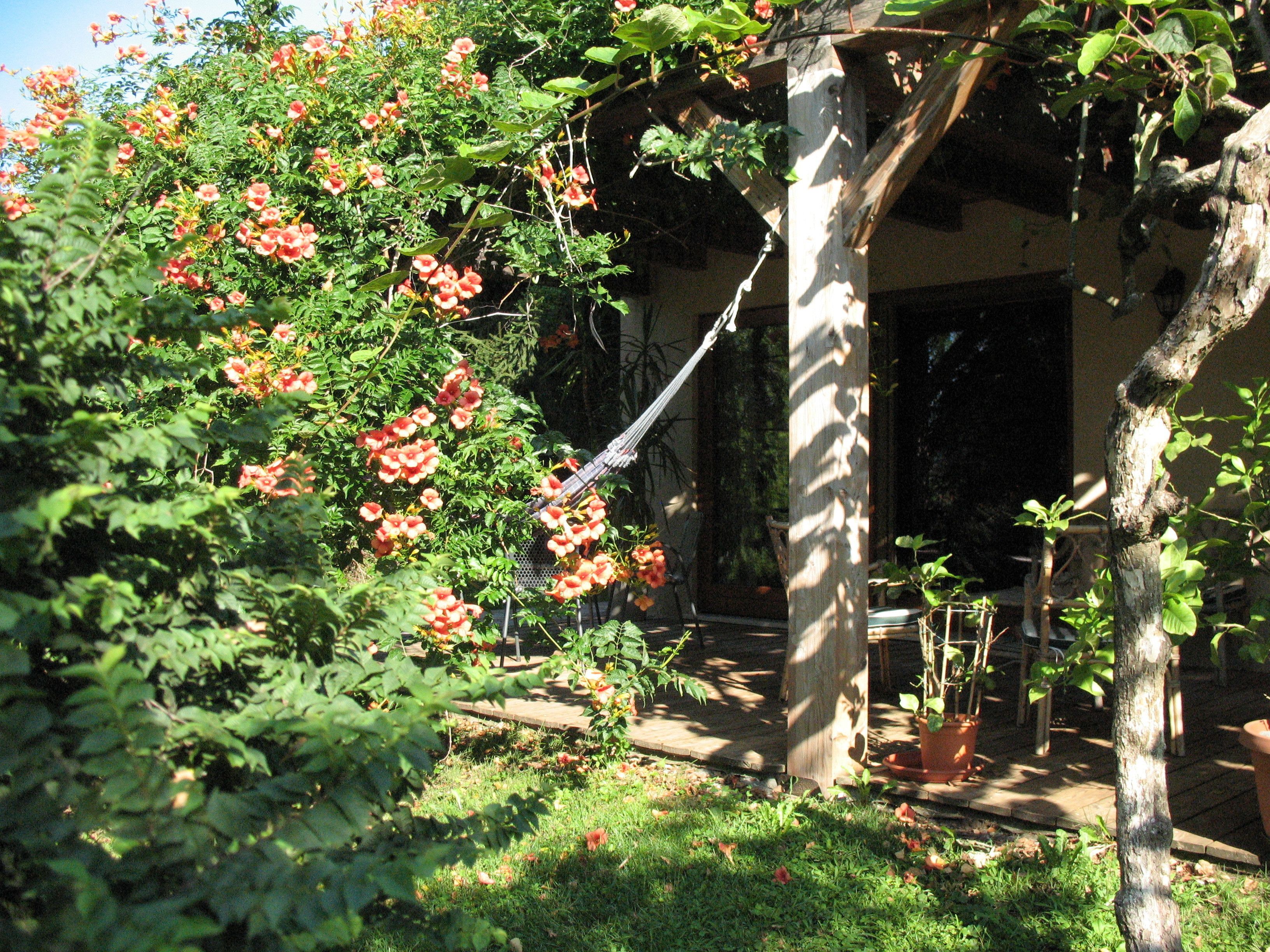 Un jardin agrémenté d’un hamac, d’une tonnelle en bois et de plantes en pot.
