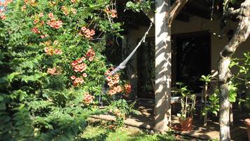 Un jardin agrémenté d’un hamac, d’une tonnelle en bois et de plantes en pot.