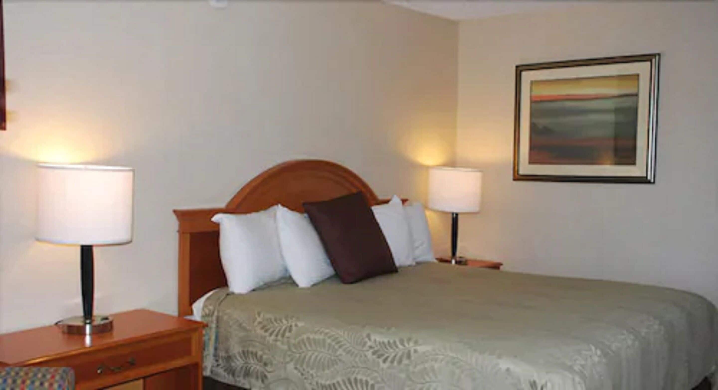 Habitación de hotel con una cama, dos lámparas de noche, una mesita de noche, un cabecero de madera y un cuadro en la pared.