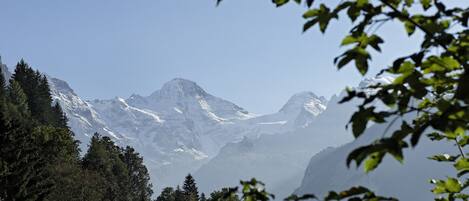 A mountainous landscape with snow-capped peaks and dense forest.