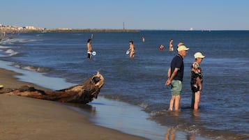 Una playa con gente de pie en aguas poco profundas, un tronco de árbol caído y un faro a lo lejos.