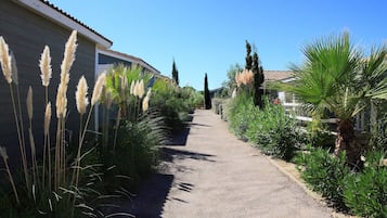 Un sendero bordeado por alta hierba pampas y diversos arbustos que lleva a un edificio con techo de tejas.