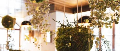 Lunch and dinner served, French cuisine