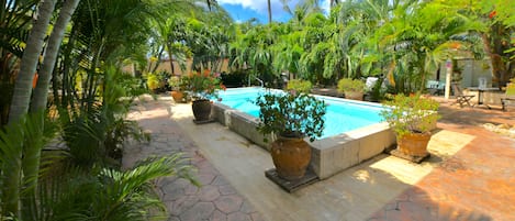 Piscine extérieure, parasols, chaises longues