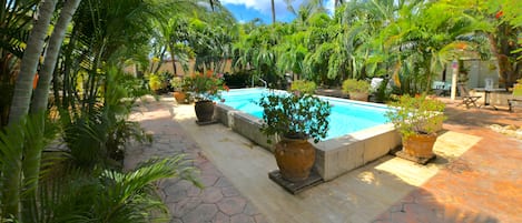 Piscine extérieure, parasols de plage, chaises longues