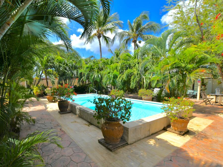 Una piscina rodeada de plantas tropicales y palmeras.