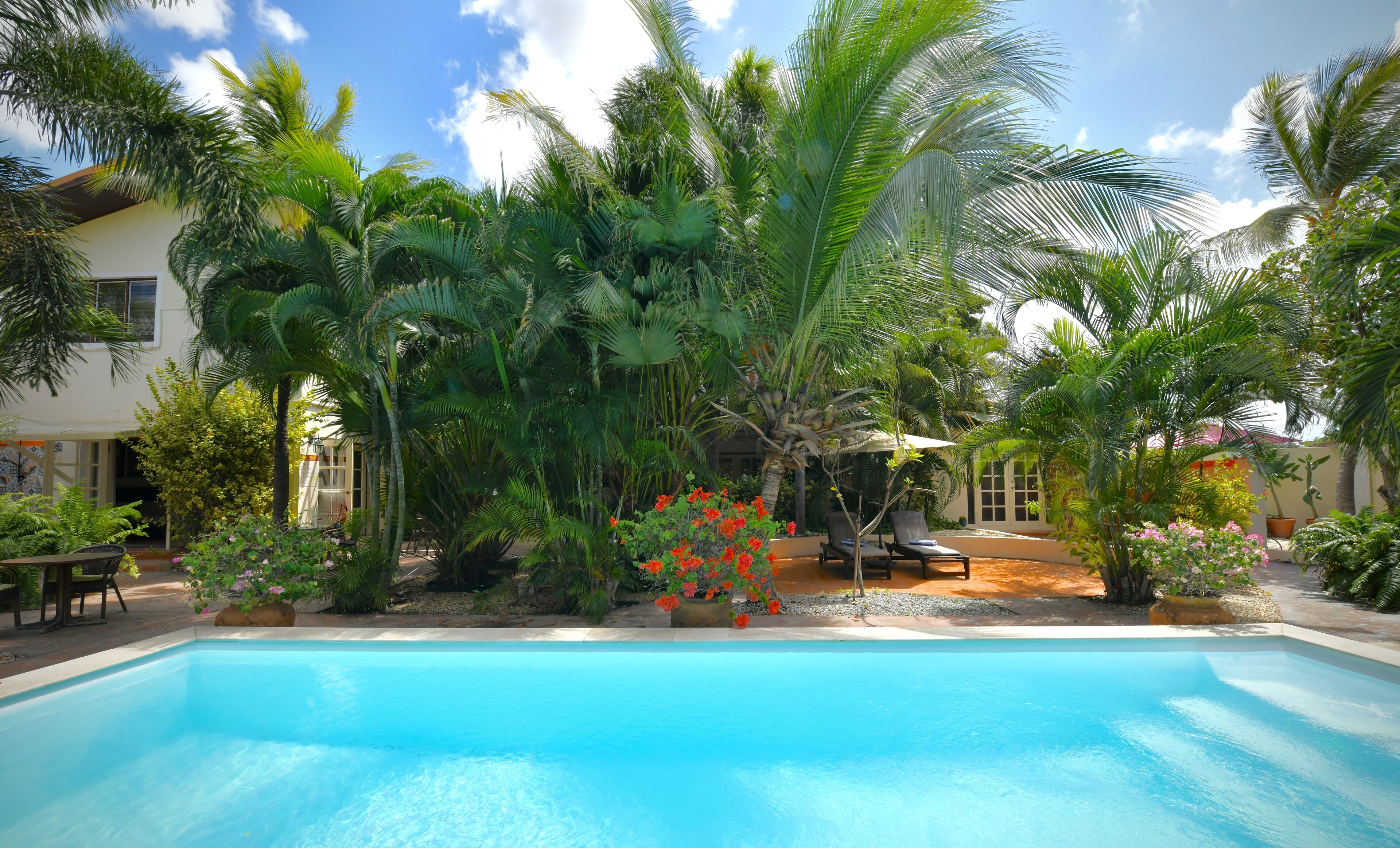 Piscina rodeada por vegetação tropical exuberante e um edifício com grandes janelas.