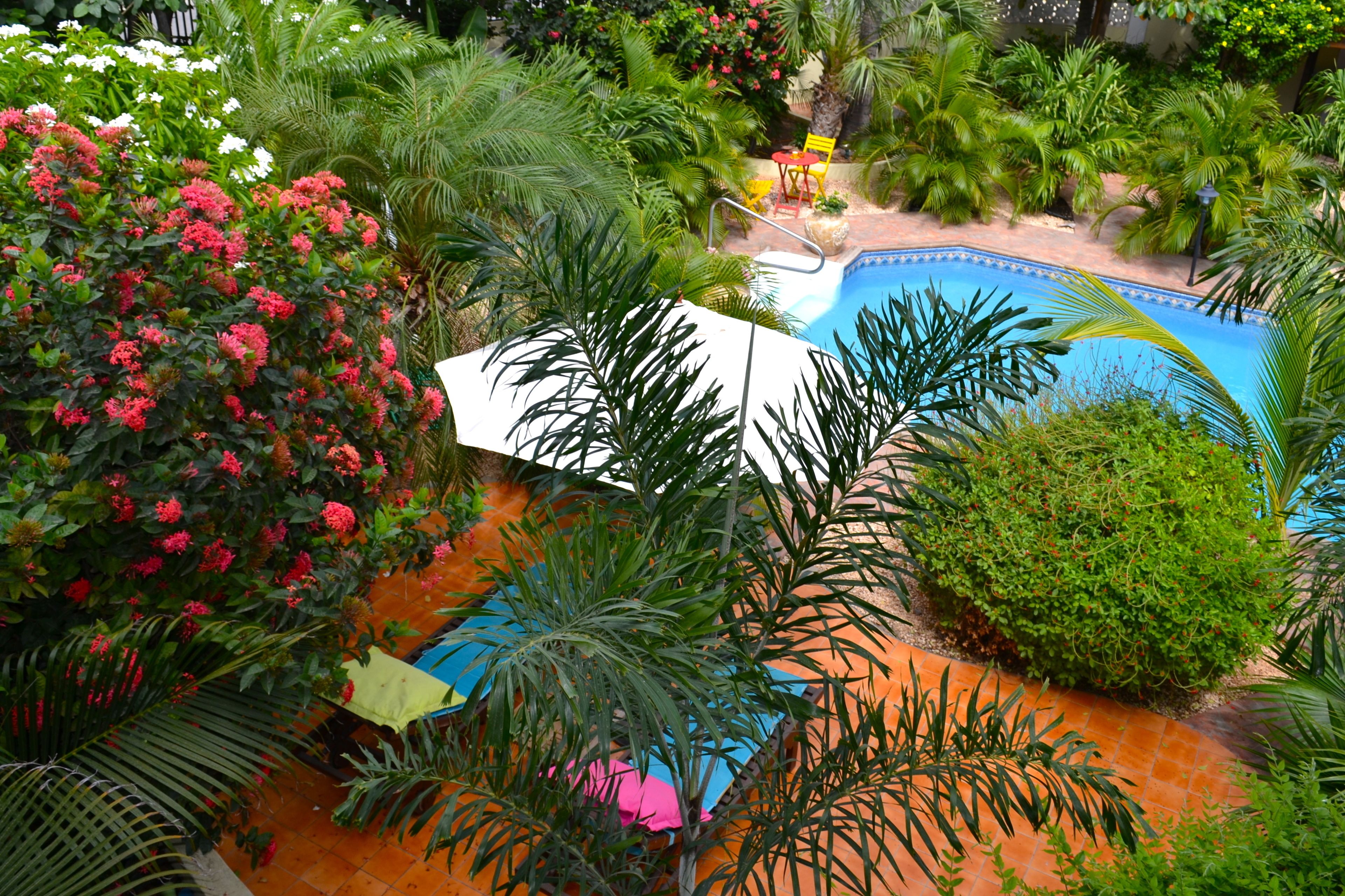 Superior King Room | Näkymä parvekkeelta