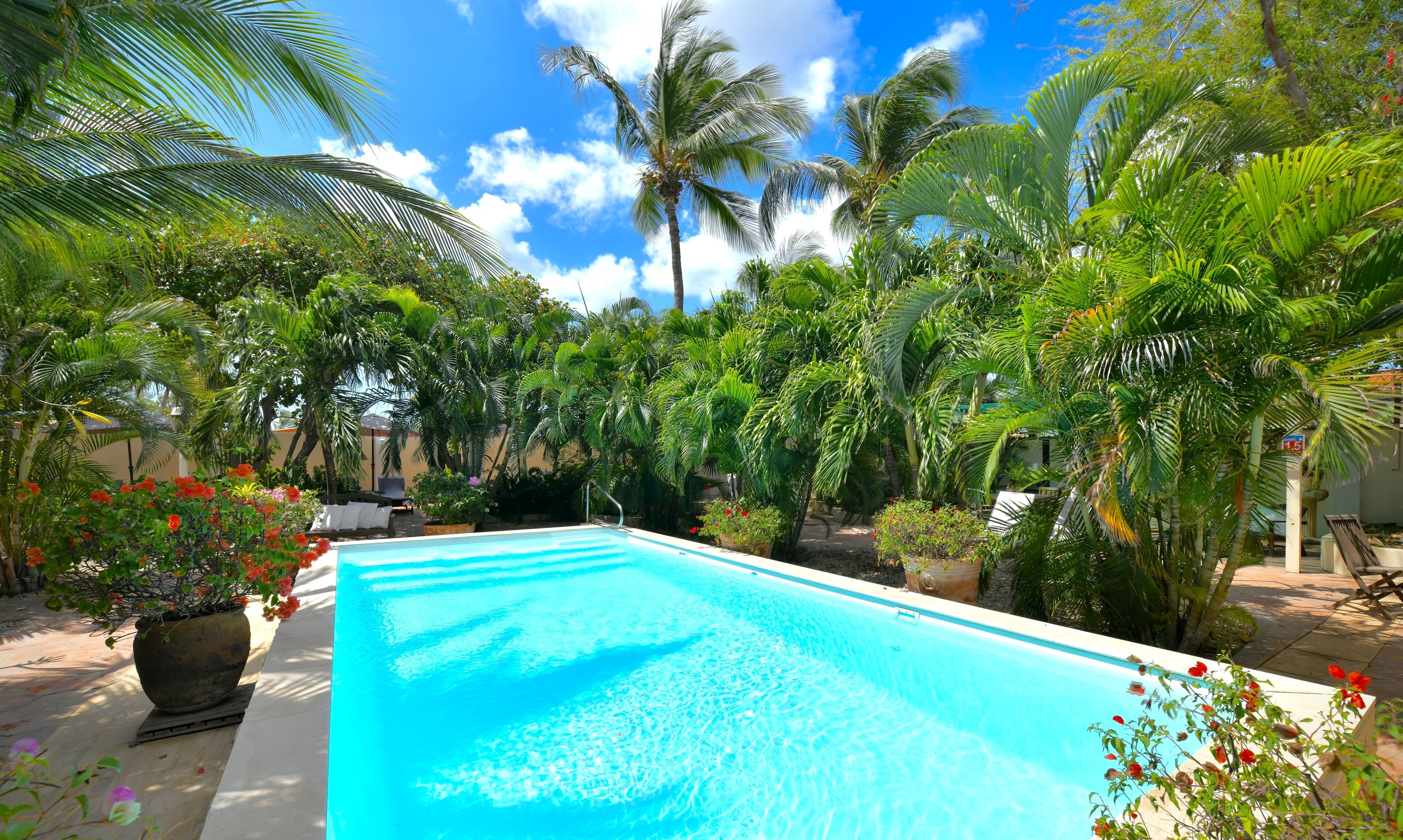 Piscina retangular rodeada por vegetação tropical exuberante e palmeiras.