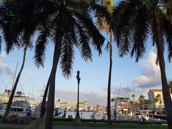 A marina with boats, palm trees, and a building with a red roof in the background. - Wonders Boutique Hotel - Adults Only (Oranjestad)