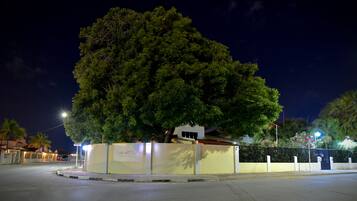 A large tree in front of a building with a sign that reads "Wonders Boutique Hotel."