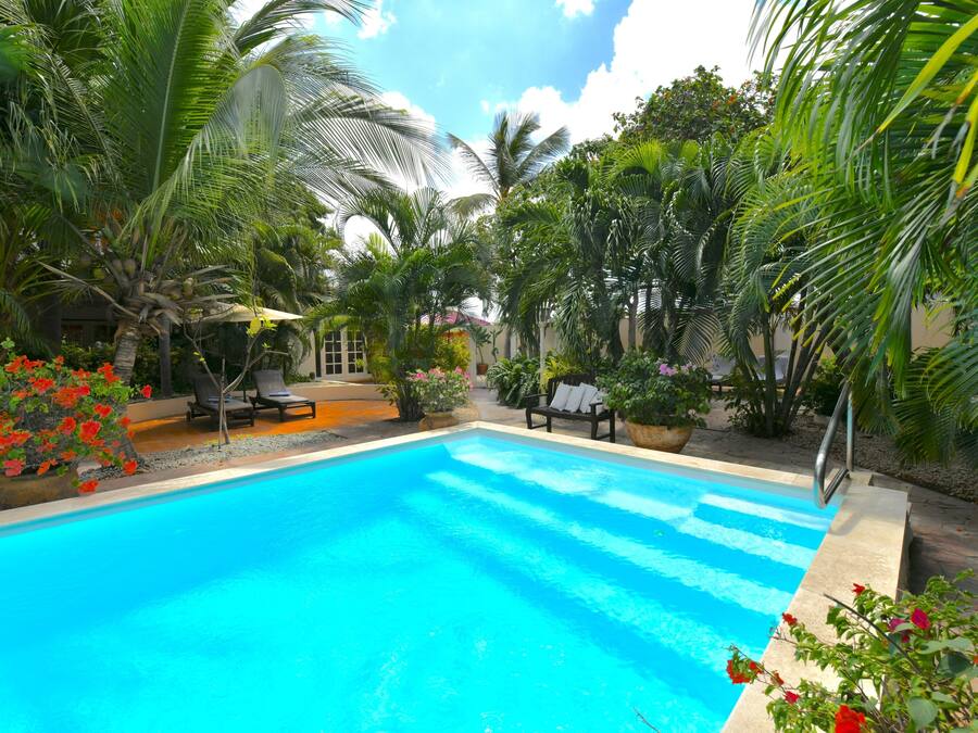 Piscina all'aperto, ombrelloni da piscina, lettini