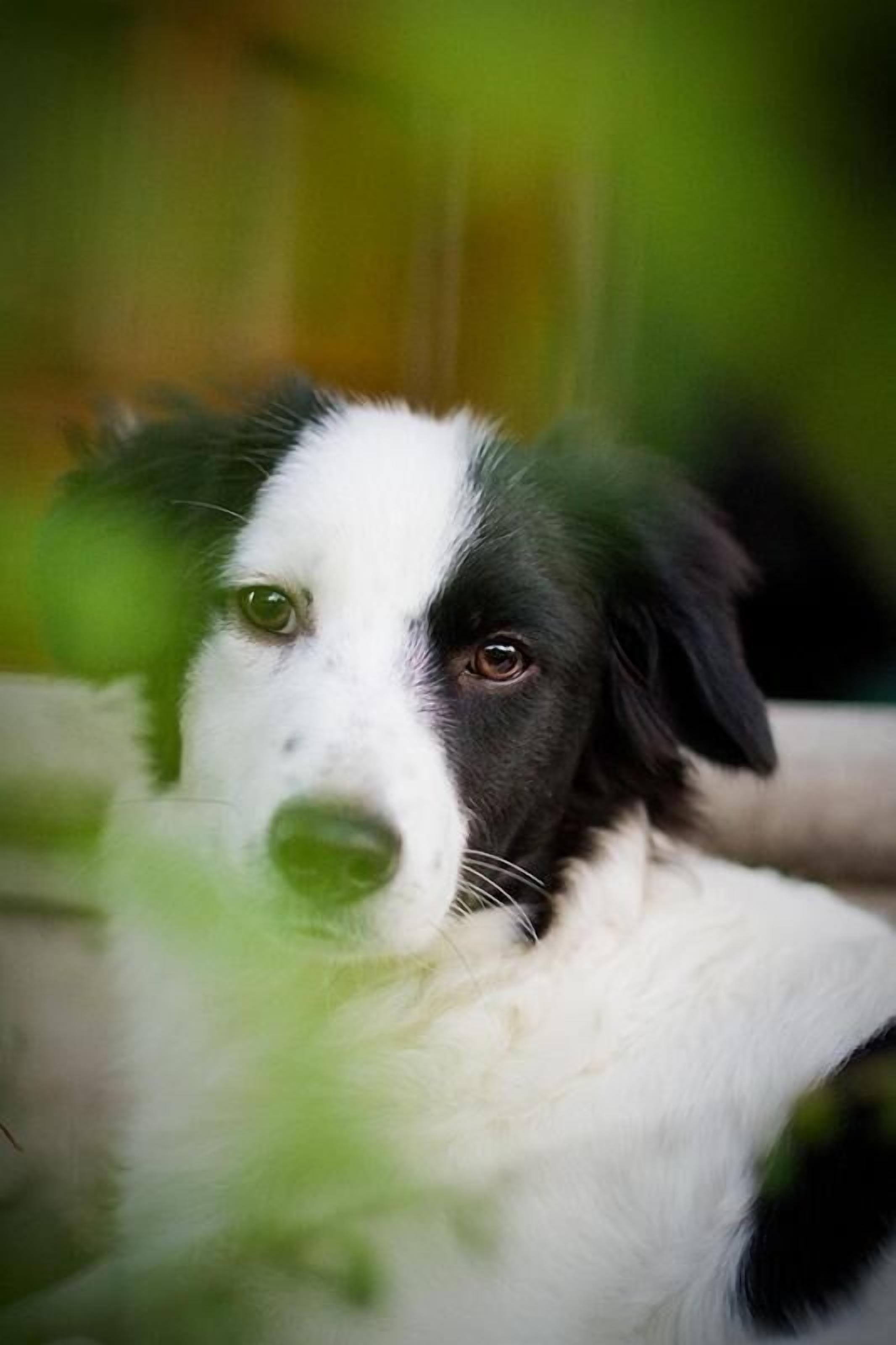 Foto - 4 Couples & 4 Friends Hostel