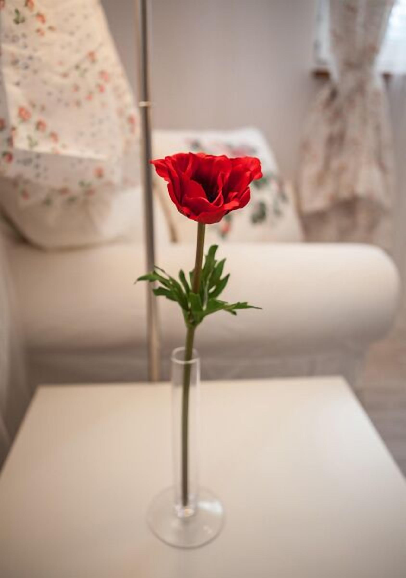 Foto - 4 Couples & 4 Friends Hostel