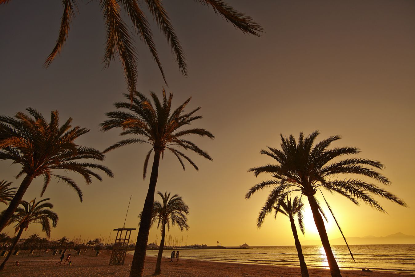 Photo - MLL Palma Bay Club Resort