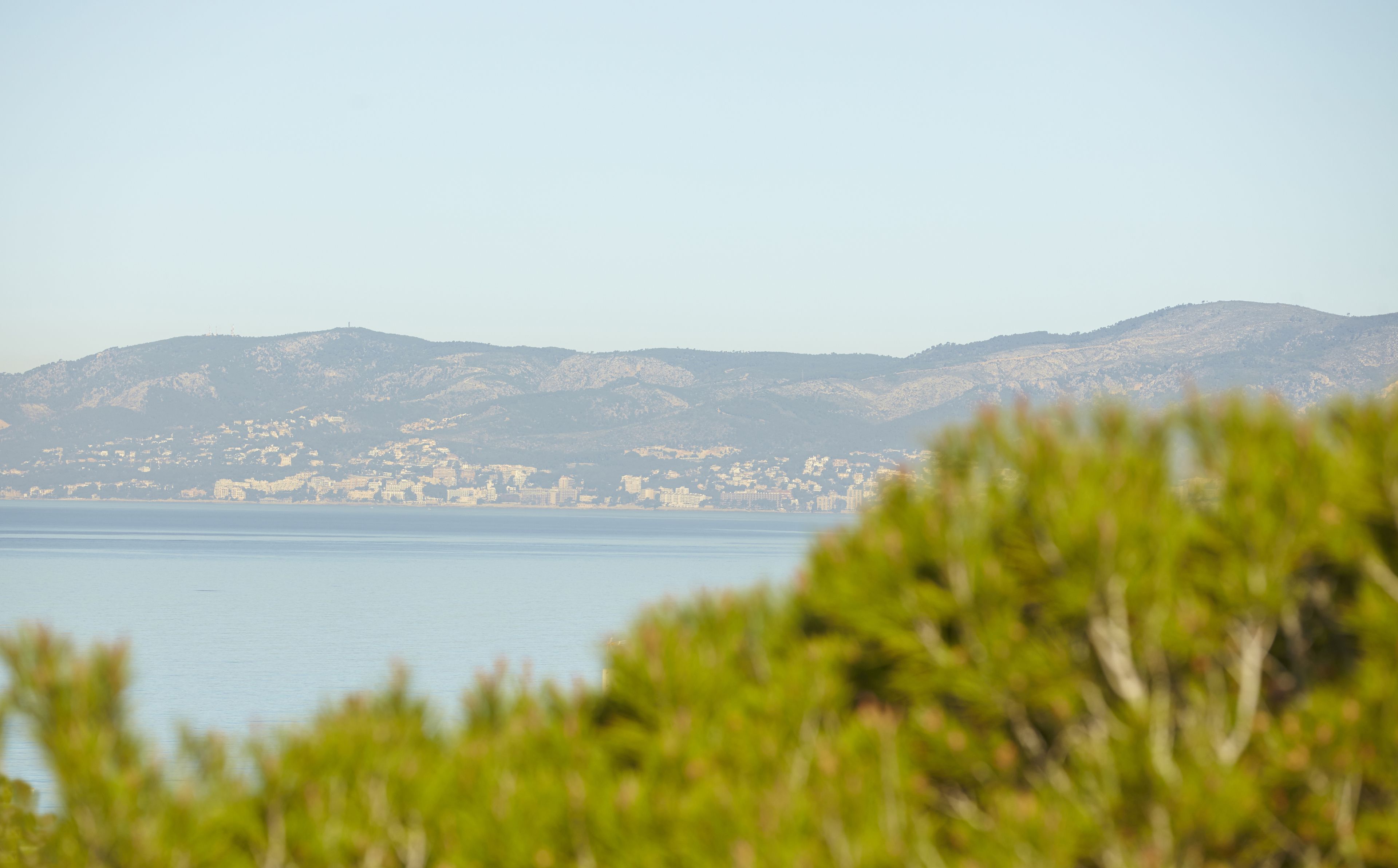 Photo - MLL Palma Bay Club Resort