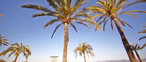 Una spiaggia nelle vicinanze