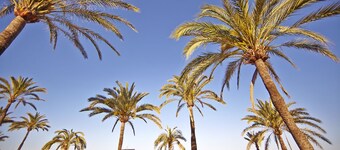 MLL Caribbean Bay Hotel