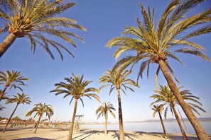 Beach nearby, white sand - MLL Sahara Nubia Gobi Bay Hotel (Palma de Mallorca)