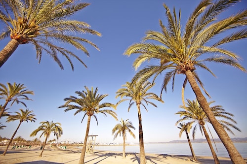 MLL Sahara Nubia Gobi Bay Hotel