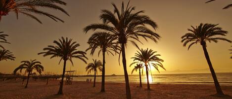 Plage à proximité, sable blanc