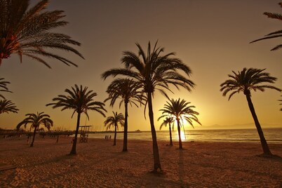MLL Sahara Nubia Gobi Bay Hotel