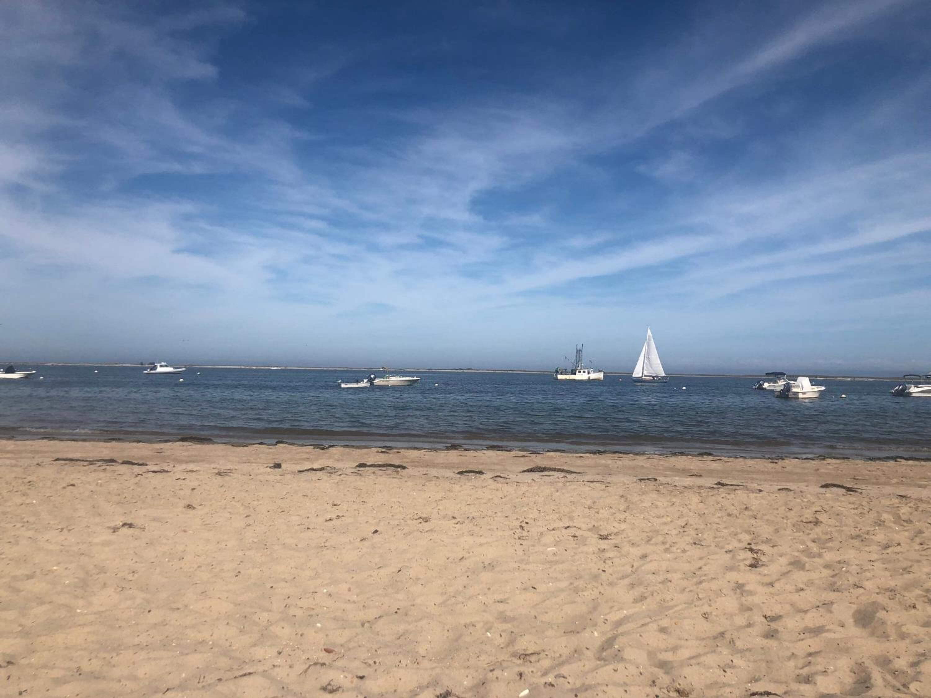 private beach, sun-loungers, beach towels