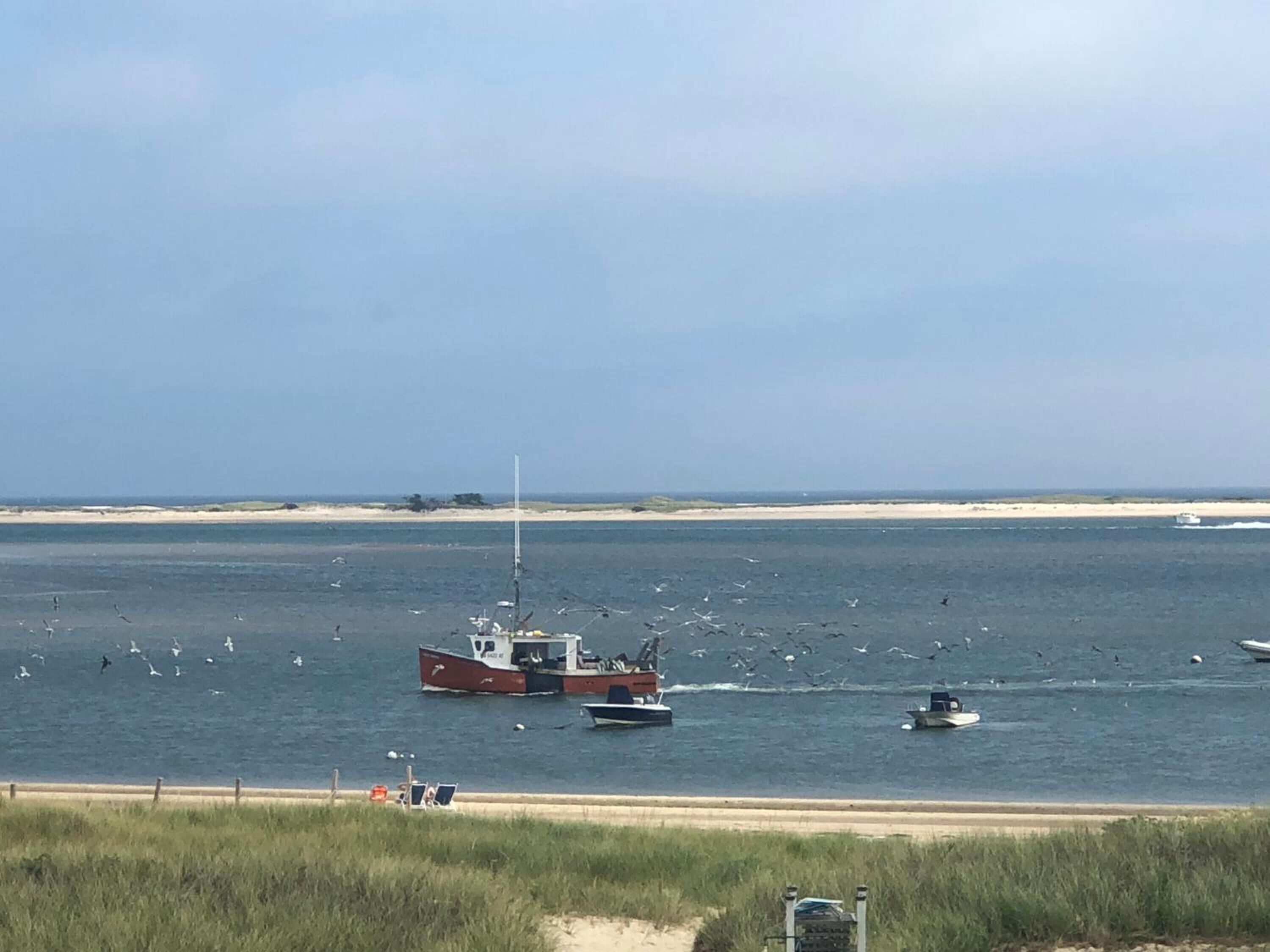 private beach, sun-loungers, beach towels