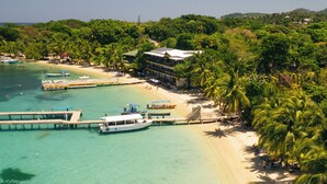 Un hôtel situé sur la côte, avec une plage, des palmiers et des bateaux.