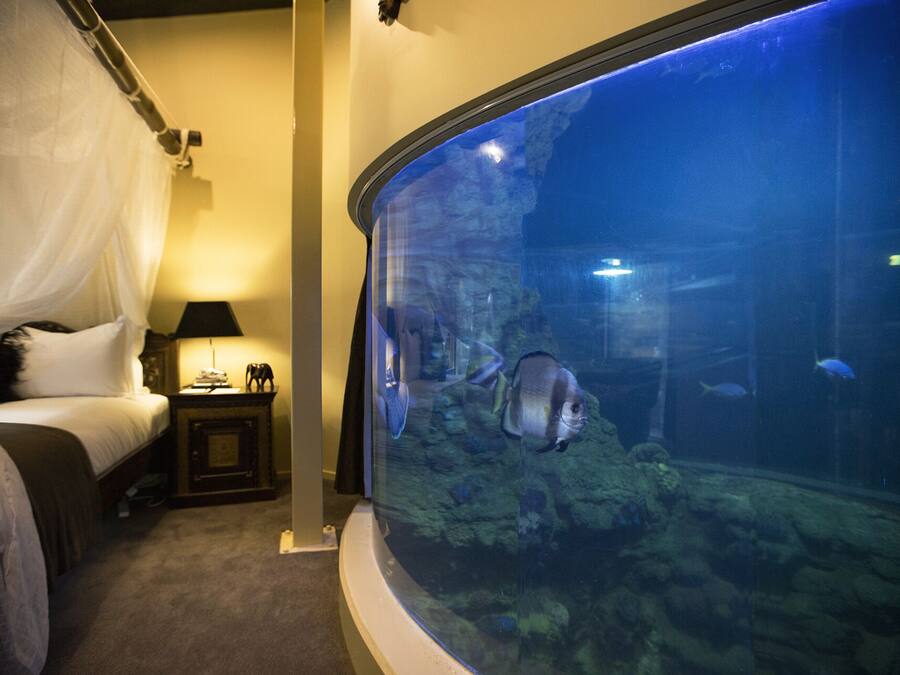 A bedroom with a bed, a nightstand, a lamp, and a large aquarium with fish.