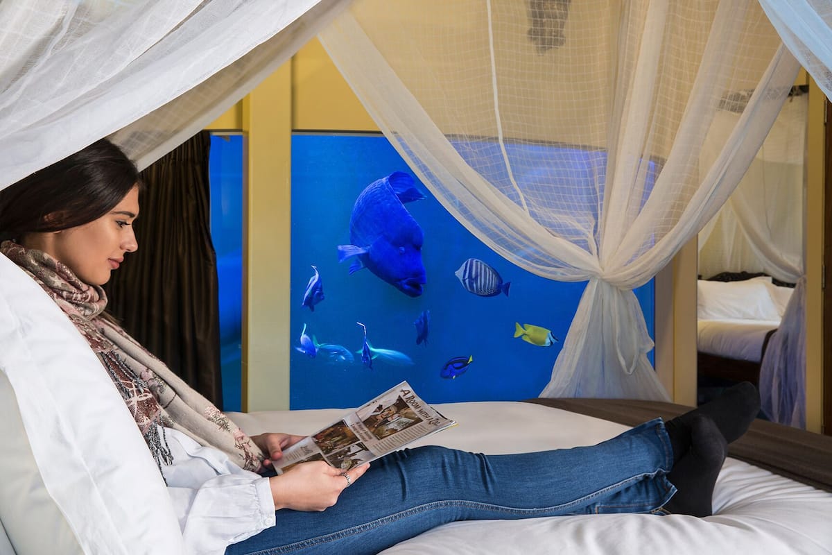 Eine Person liest ein Buch unter einem Baldachinbett, im Hintergrund eine Aquariumwand.