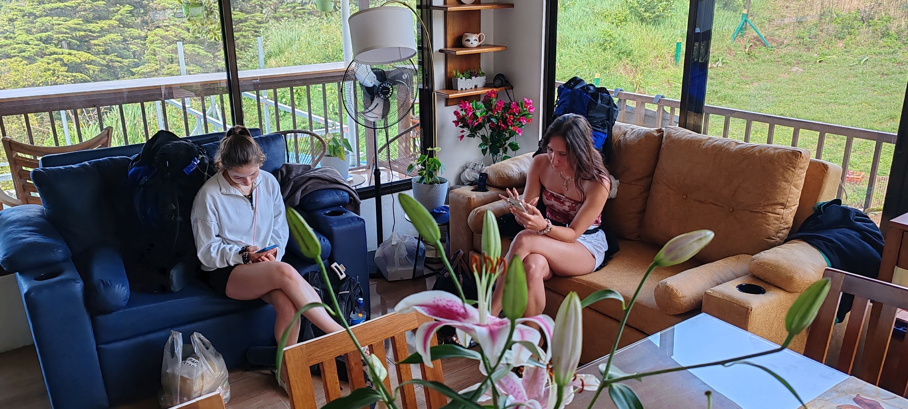 Foto - Hotel & Hostel Sloth Backpackers