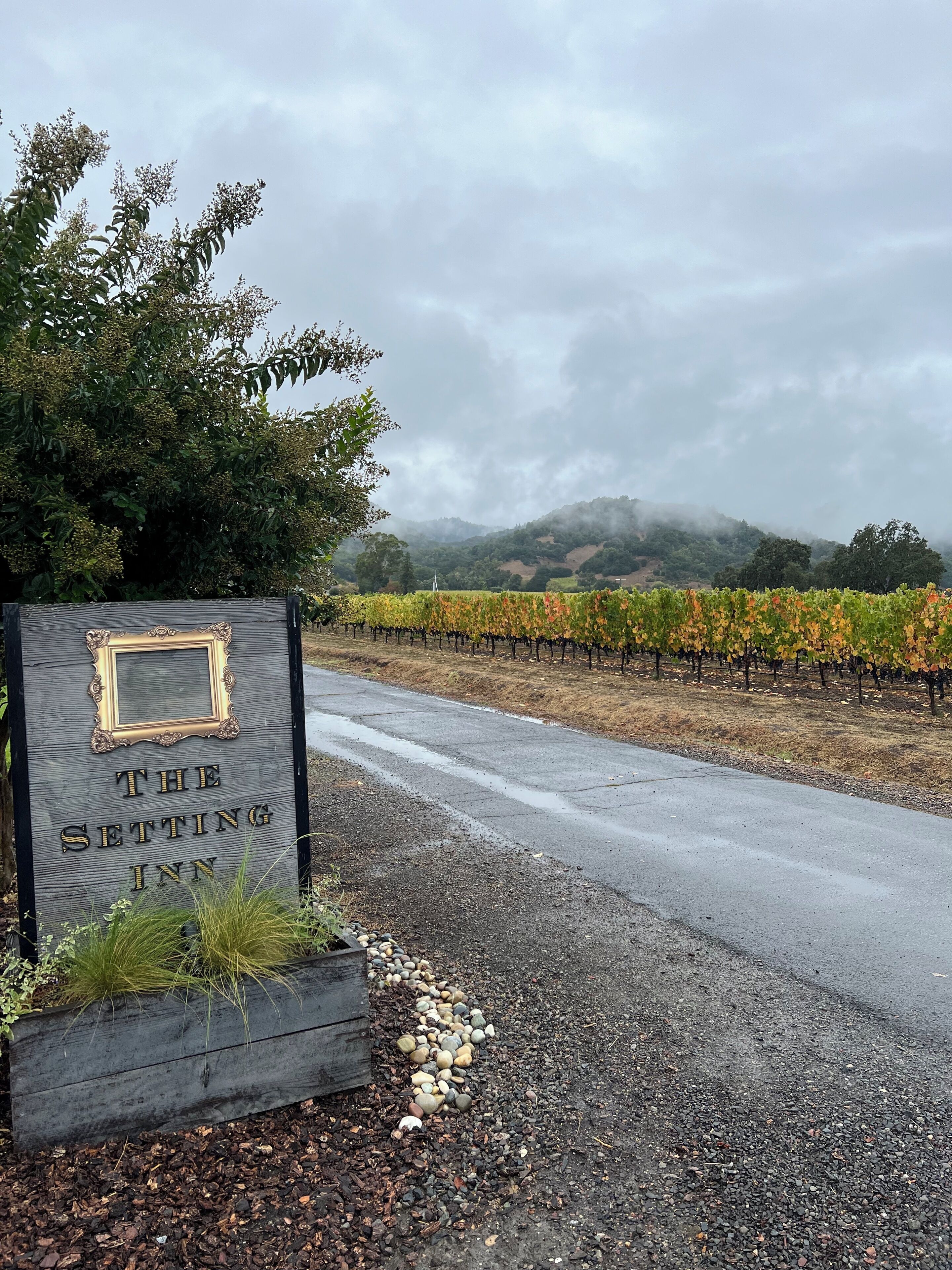 A sign for "The Setting Inn" with a view of a vineyard and hills in the background.