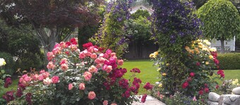 A View to Remember Bed & Breakfast