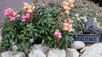 A garden with flowering plants, a welcome sign, and bird sculptures.