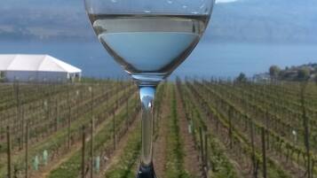 A wine glass with "Quails' Gate" and "Okanagan Valley" engraved on it, placed on a balcony overlooking a vineyard.