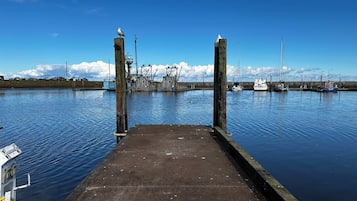Pesca
