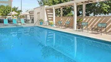 Outdoor pool, sun loungers